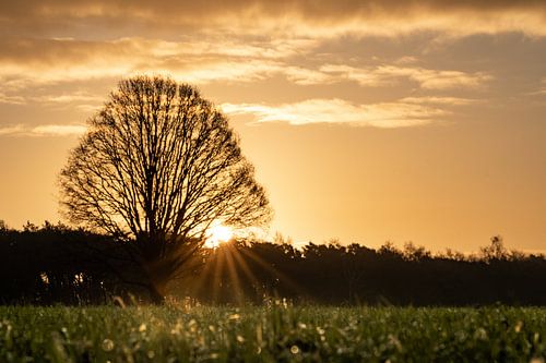 Sunrise De Vloeder in Goirle