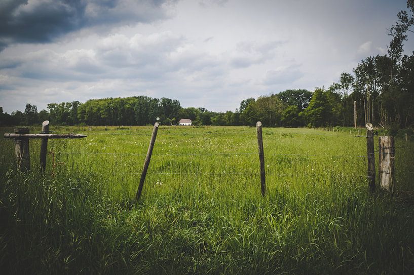 Meadow with house by Johan van Esch