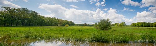 flooded meadows in the Achterhoek near Kotten.