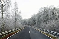 Bevroren rijp op de bomen langs de weg van Renzo de Jonge thumbnail