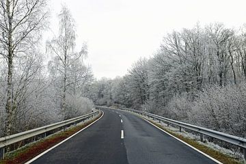 Bevroren rijp op de bomen langs de weg van Renzo de Jonge