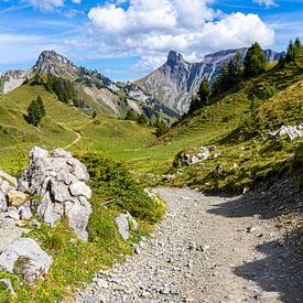 Wanderweg in der Schynige Platte in der Schweiz von Jessica Lokker