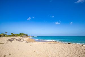 Pointe Allègre, eine traumhafte Karibik Küste auf Guadeloupe