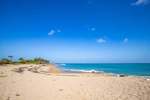 Pointe Allègre, een droomachtige Caribische kust op Guadeloupe