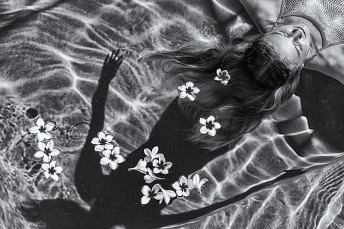 Frangipani-Baum von Gloria Salgado Gispert