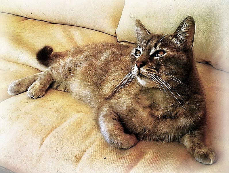 Watching The Birds Go By by Dorothy Berry-Lound