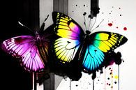 Kleurrijke dans: een kleurrijke vlinder in volle pracht van ButterflyPix thumbnail