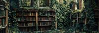 Lost Places: Bibliothek