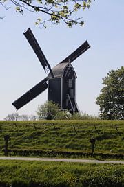 Windmühle von Danielle Holkamp