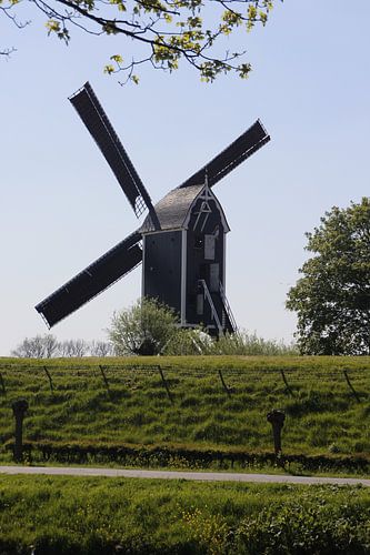 windmill