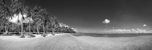 Strand op het eiland Guadeloupe in het Caribisch gebied in zwart-wit.