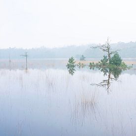 Calme et tranquillité lors d'une matinée brumeuse aux lacs de Leersum. sur anton havelaar