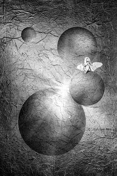 Himmlisch. 1 von Alie Ekkelenkamp