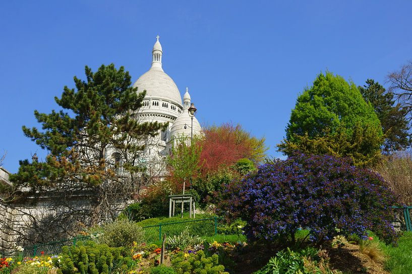 Sacré-Coeur, Parijs van Michel van Kooten