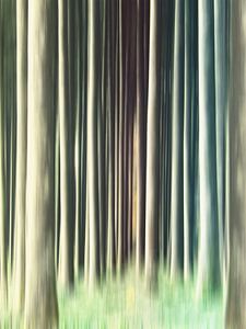 im wald
