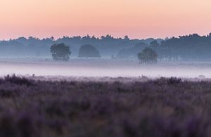 Mistige zonsopkomst van Patrick Verheij