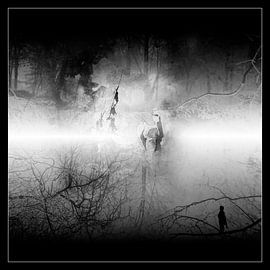 AVALON: BAKEN IN HET VERDRONKEN LAND van Ted van den Aarssen