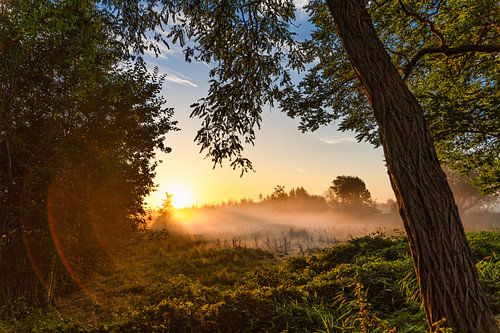 View from the Tramway