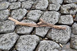 Zwerfhout van Huub Westendorp