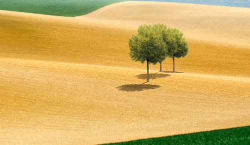 028 Digital Painting