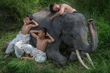 De jongens van de mahout na het spelen met een jonge olifant