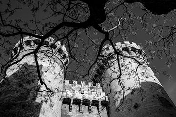 Valencia Torres de Quart in black and white by Dieter Walther