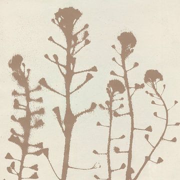 Japandi botanische kunst in bruin en wit. van Dina Dankers