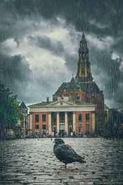 Unique Photo of Lonely Dove in Rainy Groningen - Symbol of Resilience by Elianne van Turennout