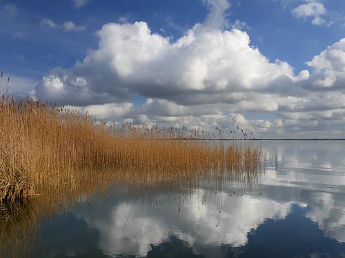 Saaler Bodden bei Wustrow auf dem Darß 6