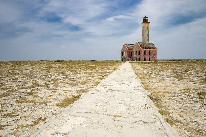 Der kleine Leuchtturm von Barry Jansen