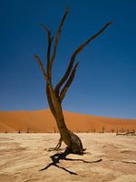 Deadvlei Namibia