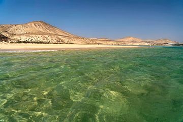 Jandia, Fuerteventura Island by Peter Schickert