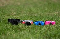 4 camera's in the grass von Marco van den Arend Miniaturansicht