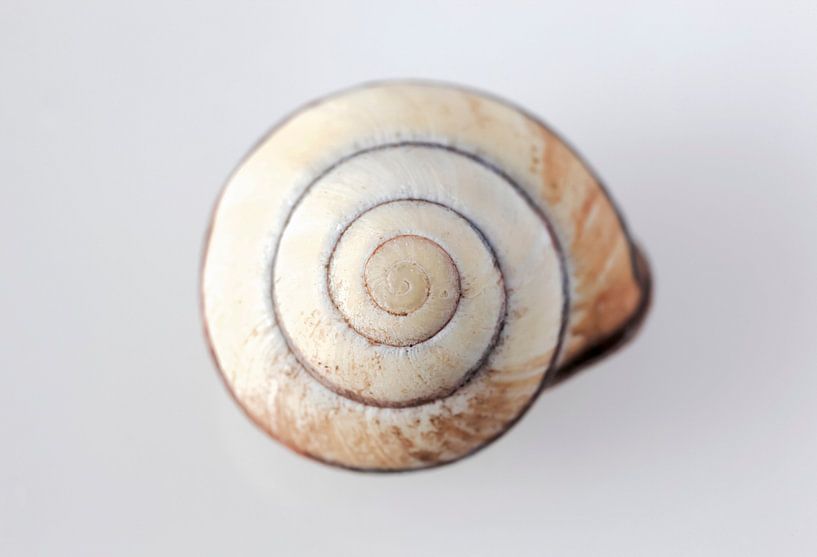 momentum by Thomas Jäger