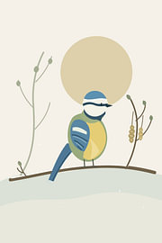 Blue Tit — Winter Hazel