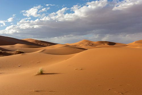 Golvende zandduinen bij zonsondergang op de achtergrond van dramatische hemelwolken, Afrika