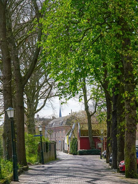 Wassenaar at his finest! by Dirk van Egmond