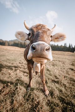 Douce vache de l'Allgäu avec vue sur le Grünten (tons terre) sur Leo Schindzielorz