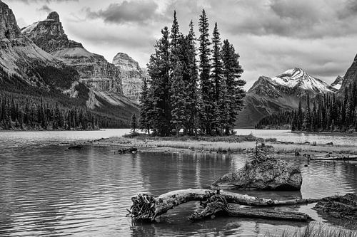 Spirit Island en noir et blanc