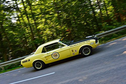 Ford Mustang Terlingua Racing Team - Start 108 - Eggberg Klassik 2025