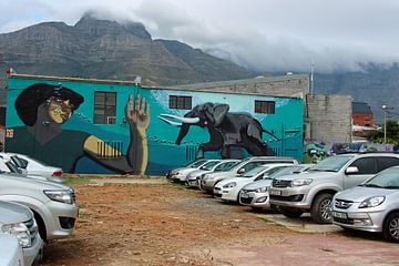 Streetart Woodstock Kaapstad van Marieke Funke