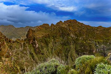 Pico do Arierio
