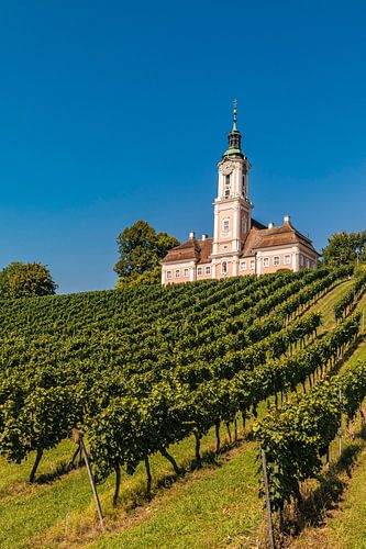 Birnau pilgrimage church on Lake Constance by Werner Dieterich