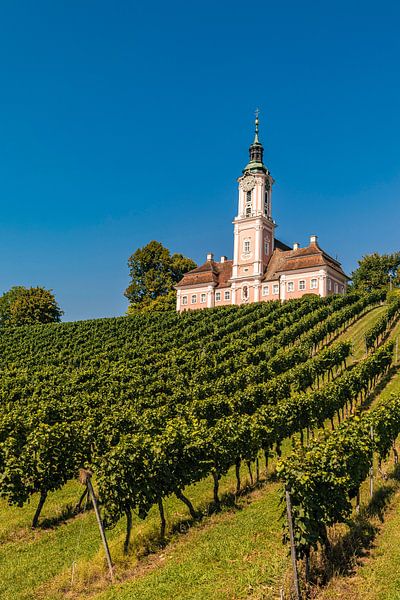 Birnau pilgrimage church on Lake Constance by Werner Dieterich