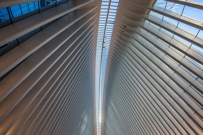 Welthandelszentrum in New York von Eric van Nieuwland