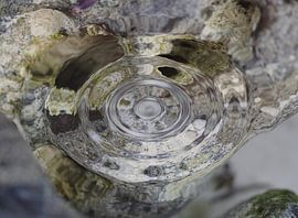 Quelle von Vera Laake