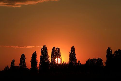 Evening at Lake Constance