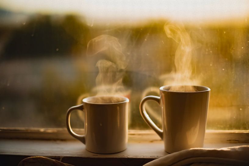 La convivialité en toute simplicité par Truckpowerr