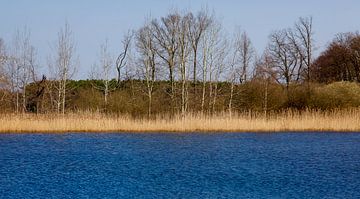 At the lake by Thomas Jäger