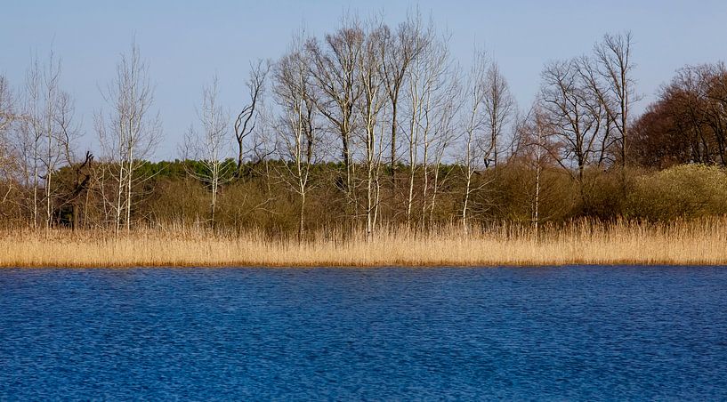 At the lake by Thomas Jäger